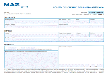 Volante de MAZ